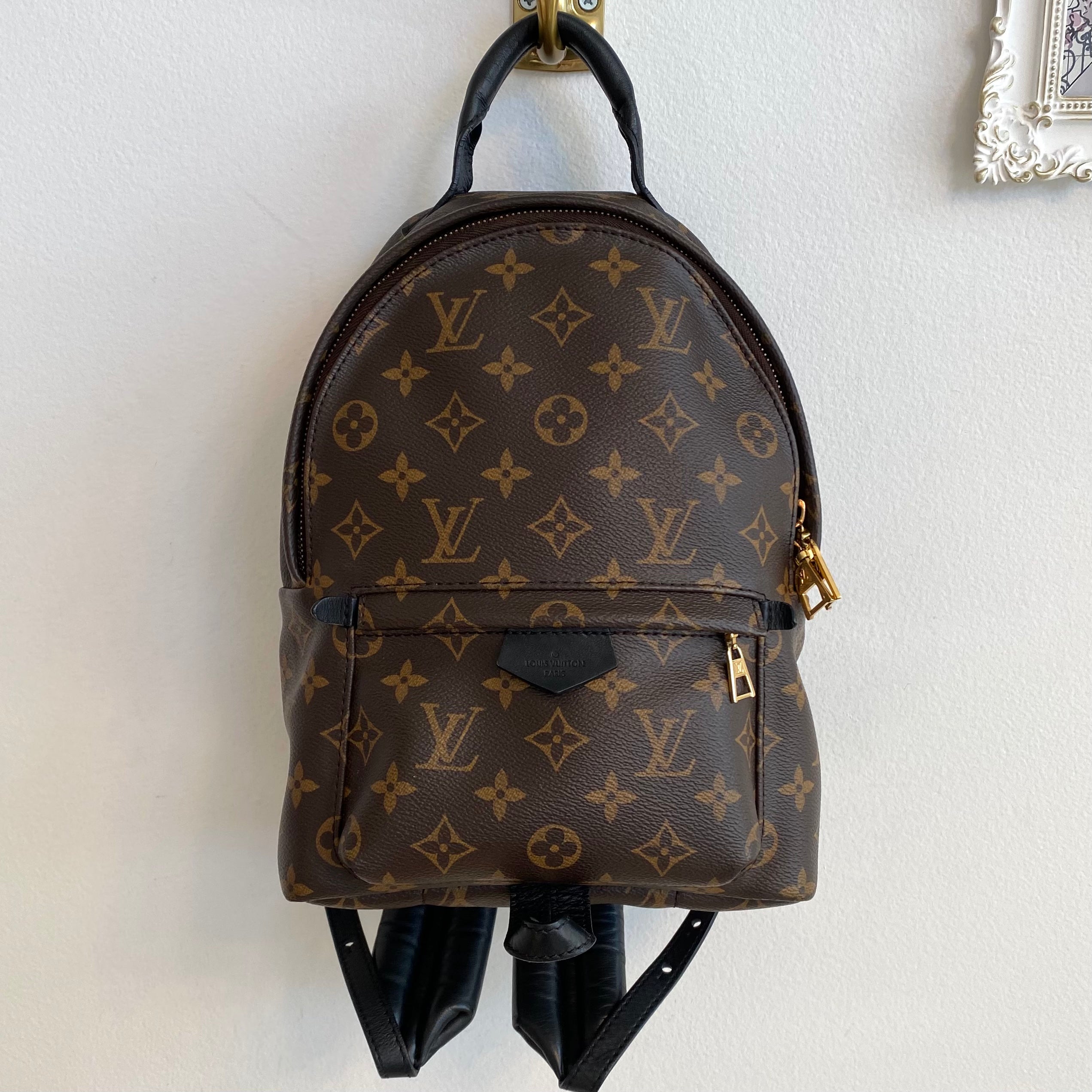 Louis Vuitton Monogram Palm Spring PM #21 Louis Vuitton Monogram Palm Spring PM